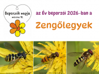 Megvan az Év Beporzói verseny nyertese!