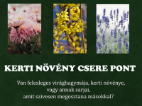Kerti növény csere pont nyílik a Vasadi Könyvtár és Művelődési Házban