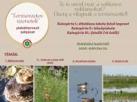 Te is unod már a sablonos reklámokat? Üzenj a világnak a természettel! Te is unod már a sablonos reklámokat? Üzenj a világnak a természettel!